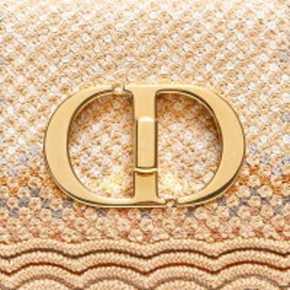 Christian Dior Caro Chain Raffia Shoulder Bag Beige - Picture 8 of 13